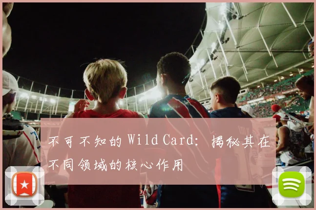 不可不知的 Wild Card:揭秘其在不同领域的核心作用