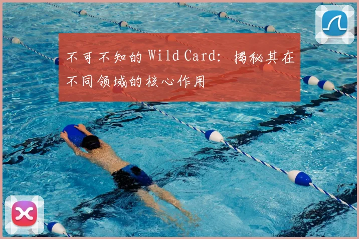不可不知的 Wild Card:揭秘其在不同领域的核心作用